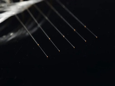Filtre passe-bande à fibre : composant essentiel du domaine des communications optiques