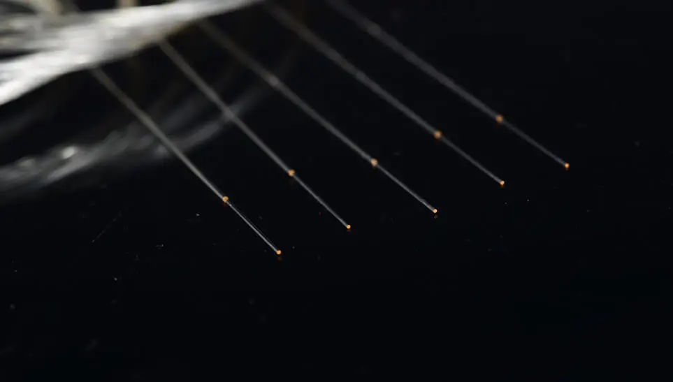 Fibre avec revêtement : passe 780 nm, haute réflexion de 830 à 1000 nm