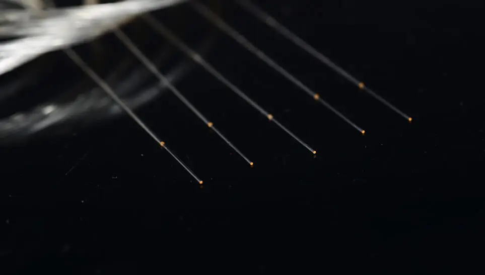 Fibre nue à revêtement antireflet