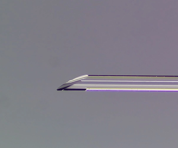lentille fibre