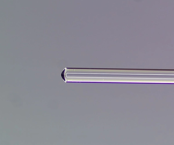 réseau de fibres lentillées