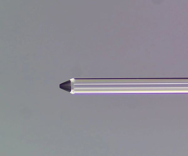 lentille à fibre